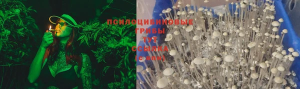 дурь Балахна